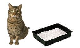 Cat Litter Tray