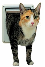 Cat Flap
